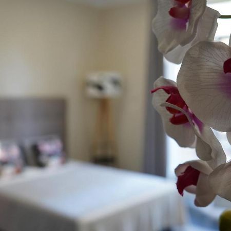 Cozy Studio With A Sea View Nice Luaran gambar